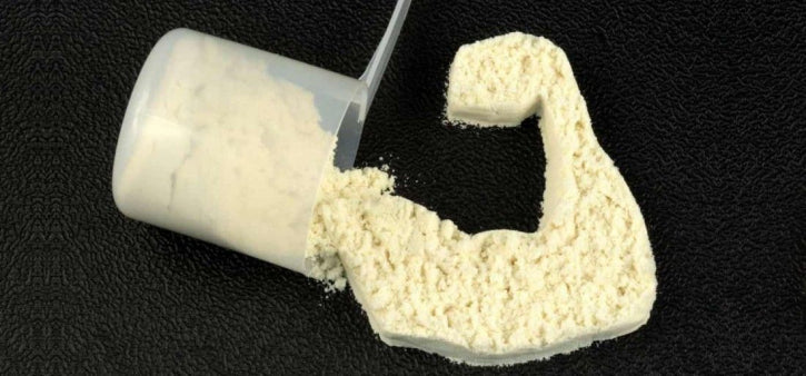 Whey vs. Casein – das musst du wissen