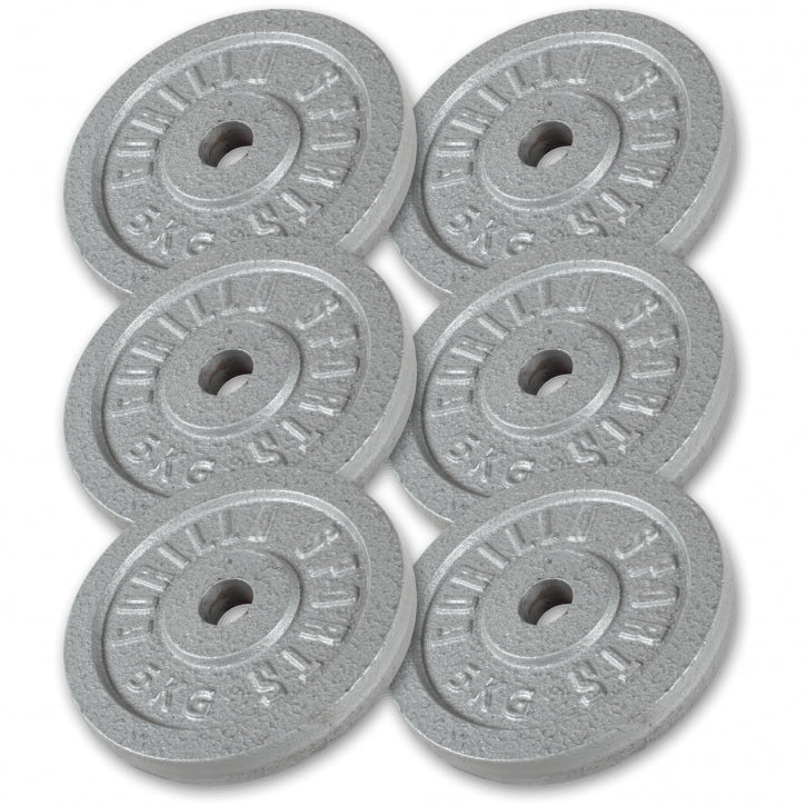 Hantelscheibe Guss Silber 0.5-30 KG