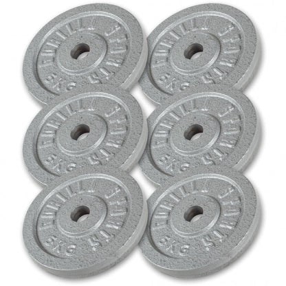 Hantelscheibe Guss Silber 0.5-30 KG