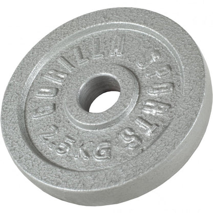 Hantelscheibe Guss Silber 0.5-30 KG