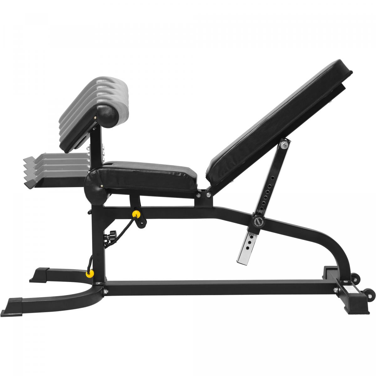 Bench verstellbar inkl. Beinstrecker und Curlpult - Gorilla Sports Schweiz