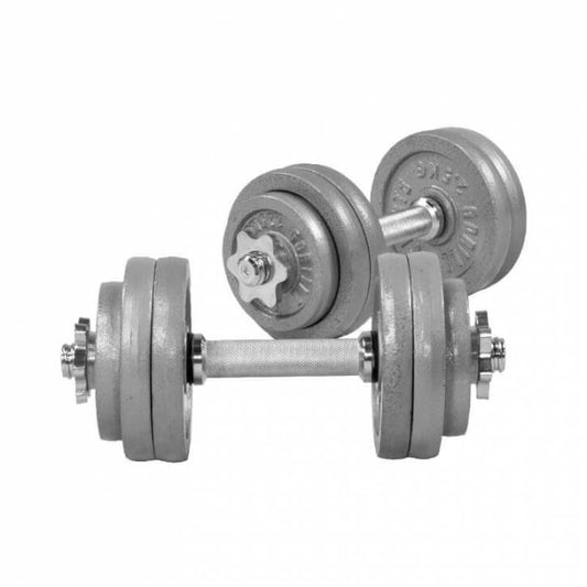 Kurzhantelset Gusseisen 30 kg Silber - Gorilla Sports Schweiz