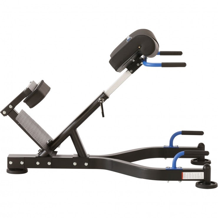 Hyperextension Pro - Gorilla Sports Schweiz